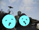 kes24.jpg