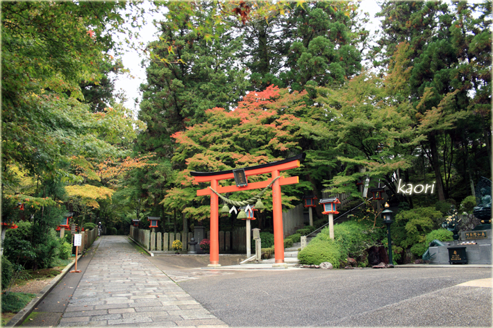 20141101_1724rs.jpg
