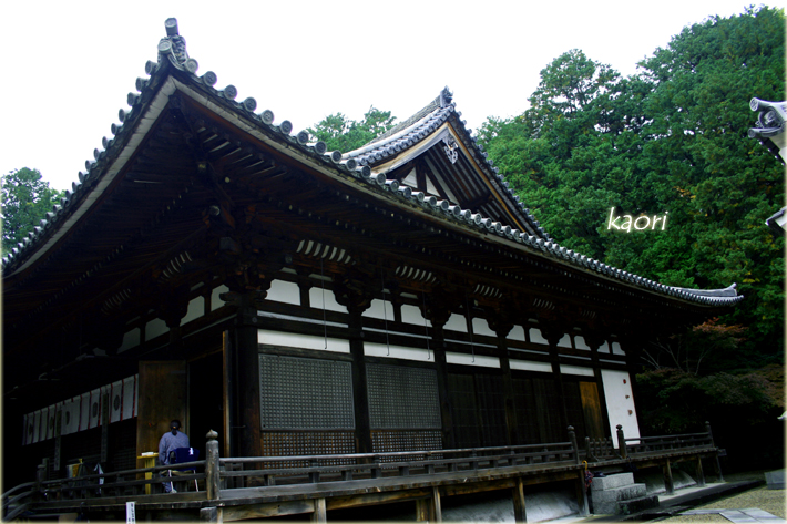 20141101_1728rs.jpg