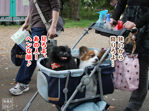 20120501_昭和記念公園3