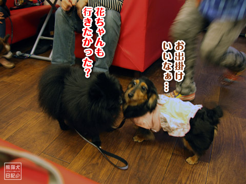 20120505_番外編7