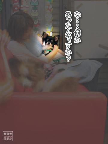 20120510_女装反対9