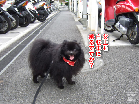 20120528_自転車4