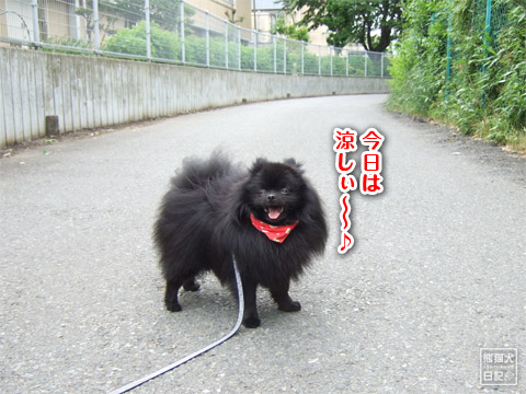 20120528_自転車1