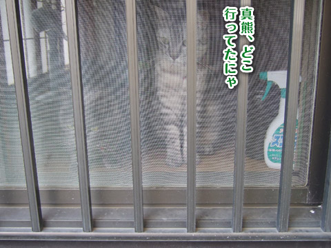 20120528_自転車8