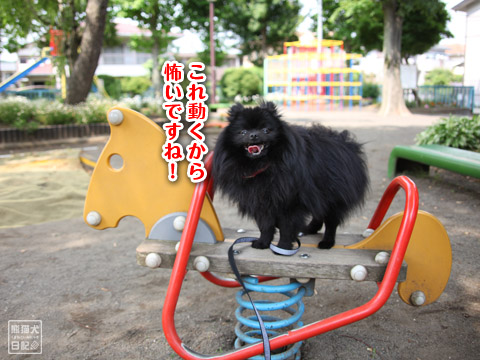 20120529_土曜日の昼3