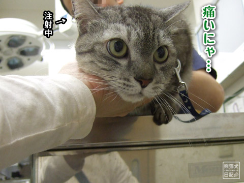 20120530_病院10