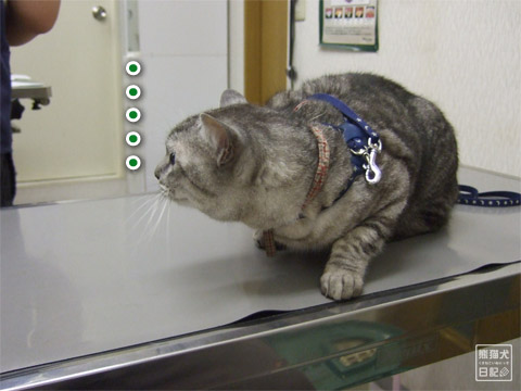 20120530_病院8