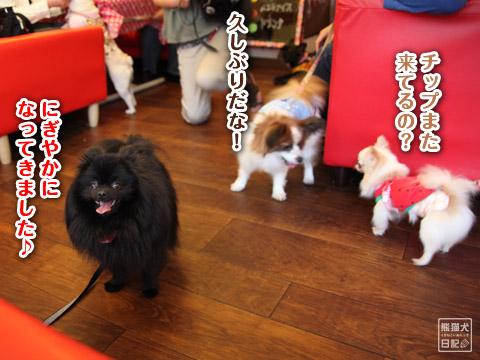 20120604_新潟からのお客9