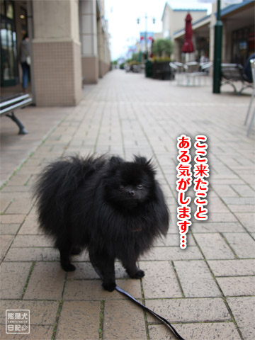 20120609_gm1.jpg