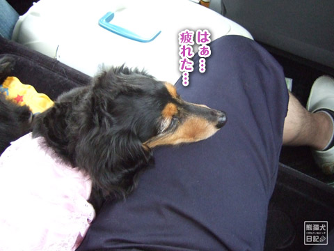 20120619_次の場所へ9