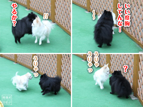 20120623_まったり11