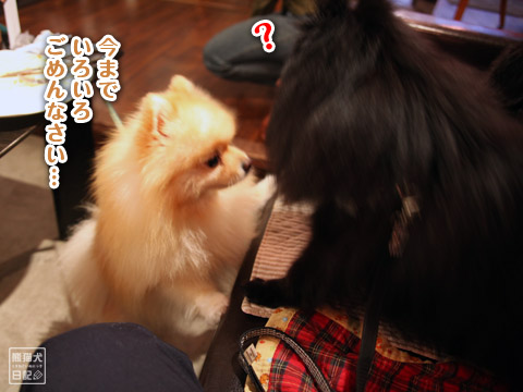 20120624_最終章6