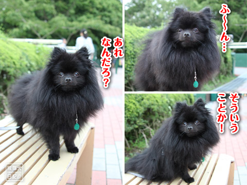 20120709_御殿場5