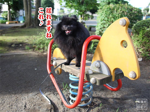 20120718_祝日5