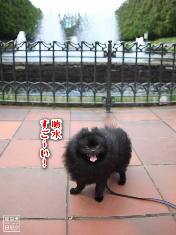 20120719_大きな公園9