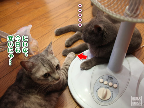 20120723_にいな&コト5