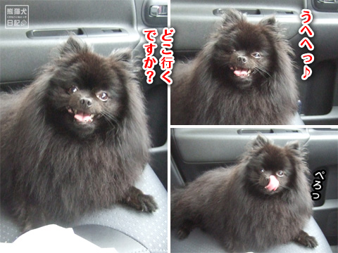 20120724_お出掛け2
