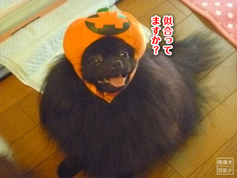 20120803_着せ替え7