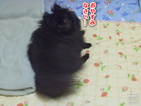 20120810_お泊りツアー10