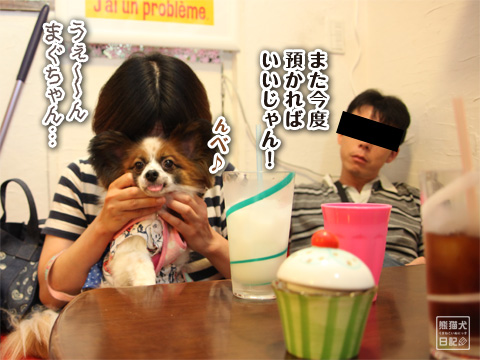20120813_お出迎え14