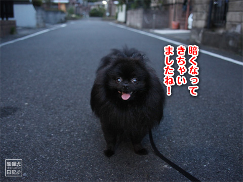 20120814_夏休み9
