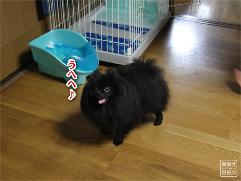 20120817_お待ち下さい