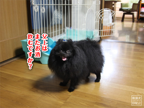 20120818_大原での様子6