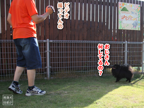 20120829_ラン4