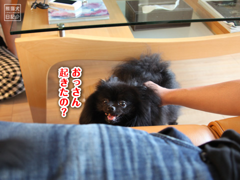 20120903_カディ邸2