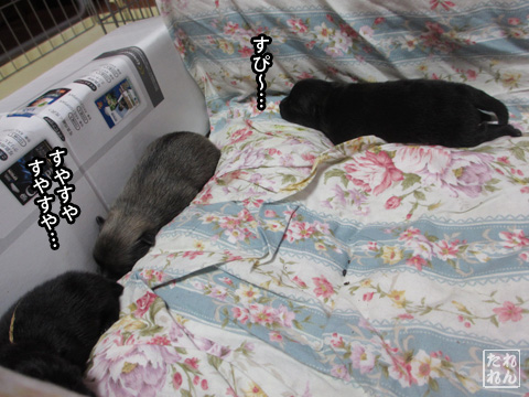 20120908_赤子たち3