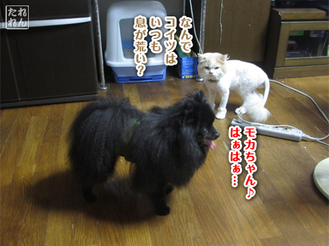 20120909_子作り合宿4