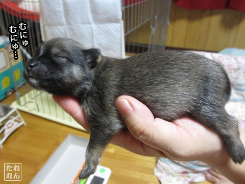 20120910_赤子たち5