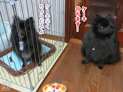 20120911_子作り合宿1