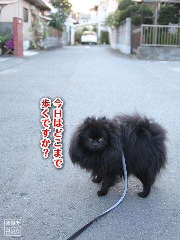 20120918_日常5