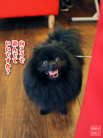 20120919_スマイリー2