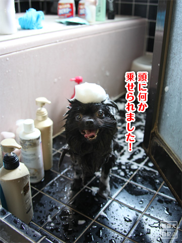 20120921_お風呂3