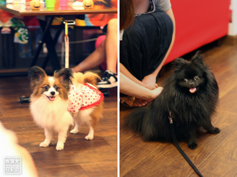 20120920_Smiley2.jpg
