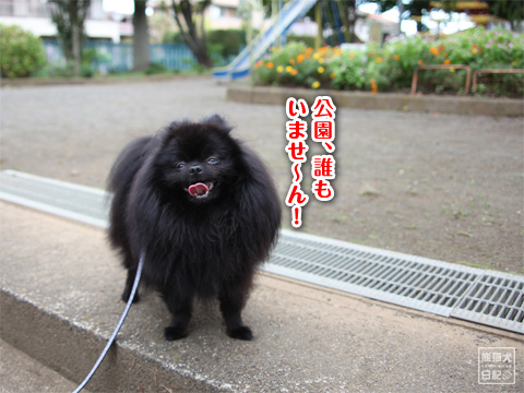 20120929_朝の散歩4