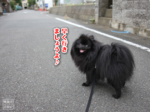 20120929_朝の散歩2