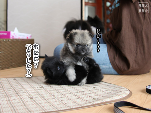 20121009_赤子たち4