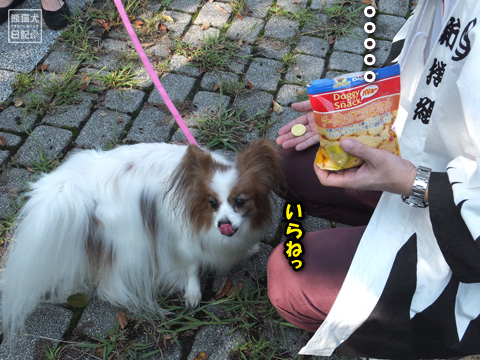 20121013_サザオフ10