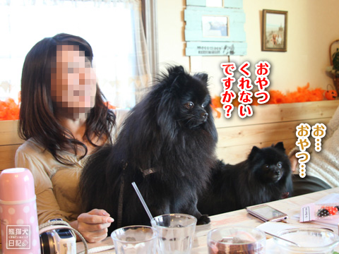 20121027_真熊3