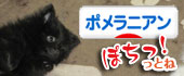 にほんブログ村