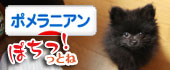 にほんブログ村