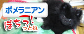 にほんブログ村