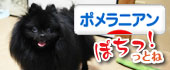 にほんブログ村