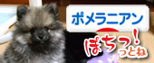 にほんブログ村