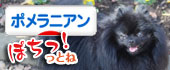 にほんブログ村