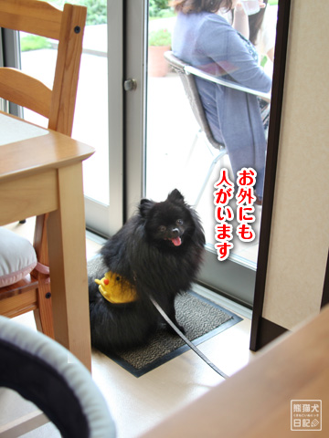 20121208_こじんまり5